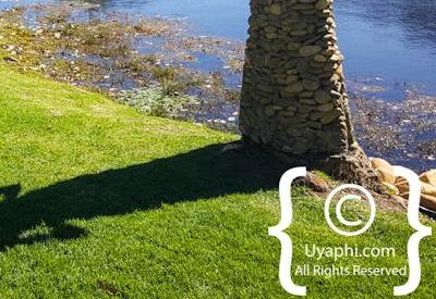 Saronsberg Photo Gallery