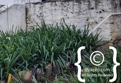 Tulbagh Church Street