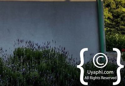 Tulbagh Church Street