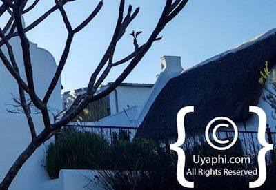 Church Street Photo Gallery Tulbagh