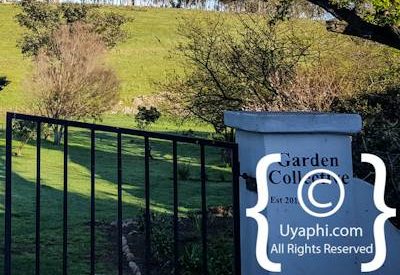 Church Street Photo Gallery Tulbagh