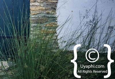 Tulbagh Church Street