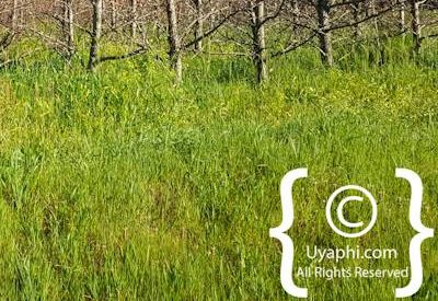 Tulbagh Image Gallery