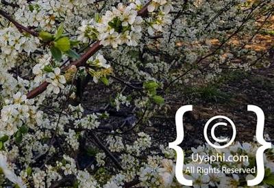 Tulbagh Image Gallery