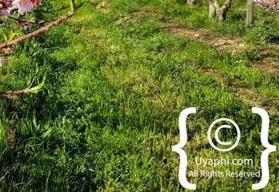 Tulbagh Image Gallery