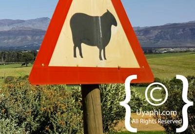 Tulbagh Image Gallery