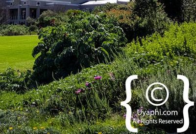 Waverley Hills organic wines