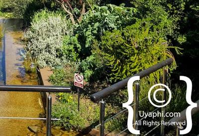 Waverley Hills Wines