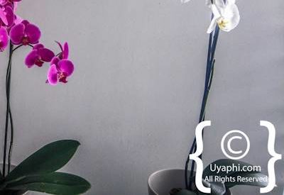 O On Kloof Photo Gallery