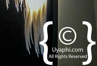 O On Kloof Photo Gallery