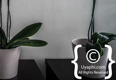 Photo Gallery of O On Kloof