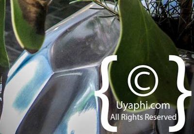 Photo Gallery of O On Kloof