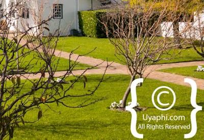 Steenberg Hotel Photo Gallery