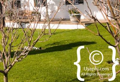Steenberg Hotel Photo Gallery