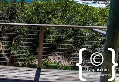 Tintswalo Atlantic Photo Gallery