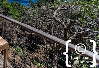 Tintswalo Atlantic Photo Gallery