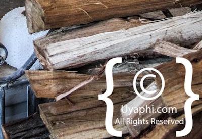 Photo Gallery of Tintswalo Atlantic