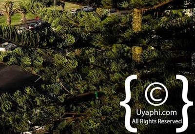 Winchester Mansions Photo Gallery