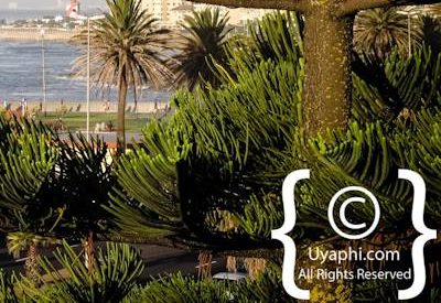 Photo Gallery of Winchester Mansion