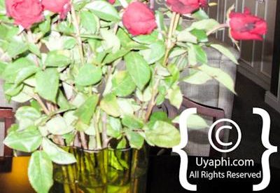 Photo Gallery of Winchester Mansion