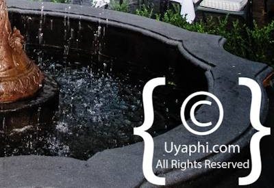 Winchester Mansions Photo Gallery