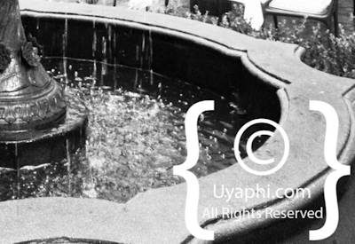 Winchester Mansions Photo Gallery