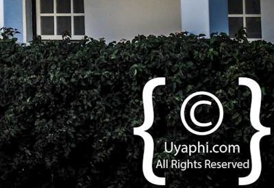 Winchester Mansions Photo Gallery