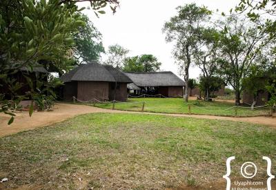 Africa On Foot swimming pool solar-powered camp Klaserie Game Reserve South Africa