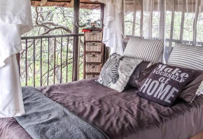 Bush walk with armed guide Africa On Foot Klaserie Game Reserve Greater Kruger South Africa