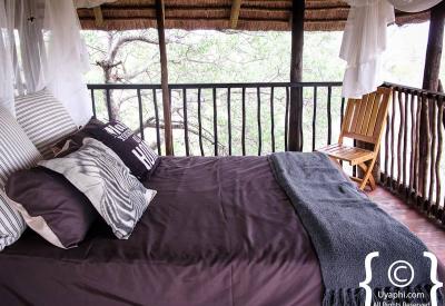 Bush walk with armed guide Africa On Foot Klaserie Game Reserve Greater Kruger South Africa