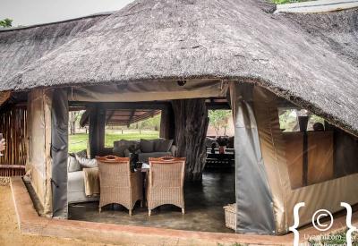Birdlife and smaller wildlife Africa On Foot Klaserie Game Reserve South Africa safari