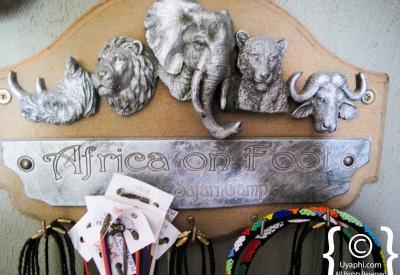 Klaserie Game Reserve bushveld scenery Africa On Foot Greater Kruger South Africa