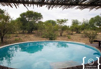 Klaserie Game Reserve bushveld scenery Africa On Foot Greater Kruger South Africa