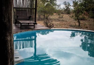 Africa On Foot intimate bush camp walking safari specialist Klaserie Greater Kruger South Africa