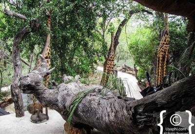 Ezulwini Billy's Lodge swimming pool Balule Nature Reserve Greater Kruger South Africa