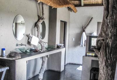 Wildlife at seasonal riverbed Ezulwini Billy's Lodge Balule Nature Reserve South Africa