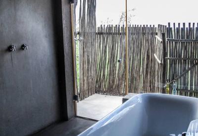 Wildlife at seasonal riverbed Ezulwini Billy's Lodge Balule Nature Reserve South Africa