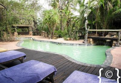 Open vehicle Big Five game drive Ezulwini Billy's Lodge Balule Nature Reserve South Africa