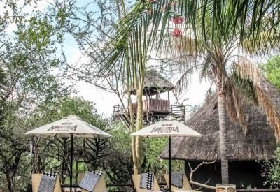 Outdoor boma dining Ezulwini Billy's Lodge Balule Nature Reserve Greater Kruger South Africa