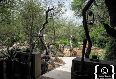 Ezulwini Billy's Lodge luxury safari suite interior Balule Nature Reserve South Africa