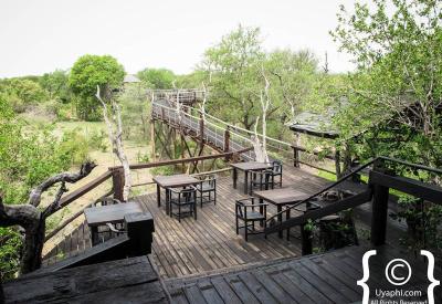 Ezulwini Billy's Lodge suite private deck bushveld views Balule Nature Reserve South Africa