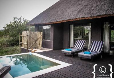 Ezulwini River Lodge beneath fig and natal mahogany trees Olifants River Balule South Africa