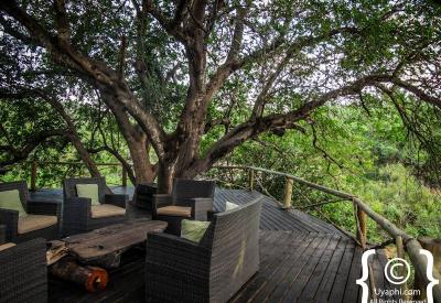 Ezulwini River Lodge main lounge communal area Olifants River Balule South Africa