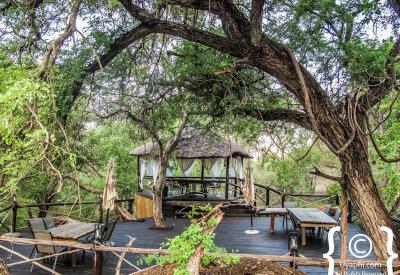 Ezulwini River Lodge main lounge communal area Olifants River Balule South Africa