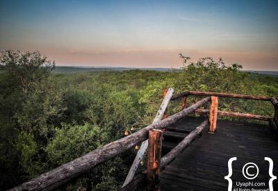 Exceptional birdlife Great Olifants River Ezulwini River Lodge Balule South Africa