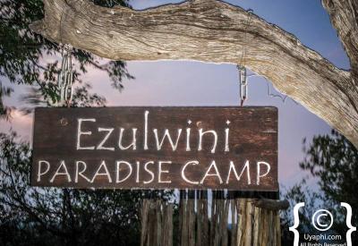 Wildlife viewing on Great Olifants River Ezulwini River Lodge Balule South Africa safari