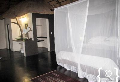 Wildlife viewing on Great Olifants River Ezulwini River Lodge Balule South Africa safari