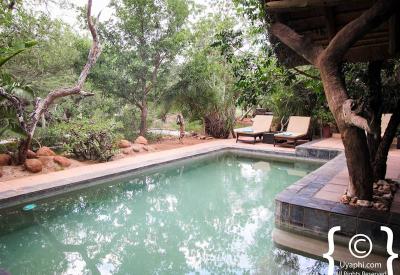 Ezulwini River Lodge beneath fig and natal mahogany trees Olifants River Balule South Africa