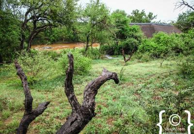 Great Olifants River valley scenic views Ezulwini River Lodge Balule South Africa