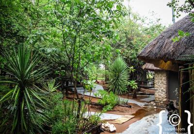 Ezulwini River Lodge place of paradise Olifants River Balule Nature Reserve South Africa
